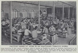 Factory hands at work in an Anatolian tobacco works (b/w photo) Factory hands at work in an Anatolian tobacco works (b/w photo)