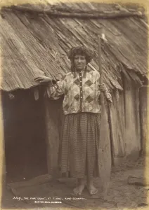 The Fair Orini - At Ti Eke - King Country (albumen print) The Fair Orini - At Ti Eke - King Country (albumen print)