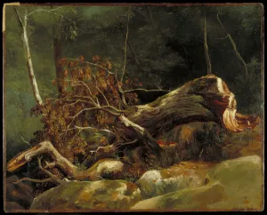 The Fallen Branch, Fontainebleau, c.1816 (oil on canvas on card) The Fallen Branch, Fontainebleau, c.1816 (oil on canvas on card)