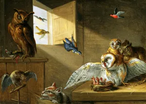 A Family of Owls, other Birds and a Cat (oil on copper) A Family of Owls, other Birds and a Cat (oil on copper)