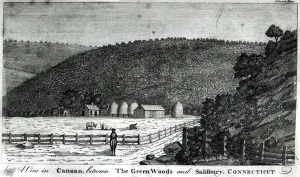 A Farm in Canaan, Connecticut, from Columbia Magazine, 1789 (engraving) A Farm in Canaan, Connecticut, from Columbia Magazine, 1789 (engraving)