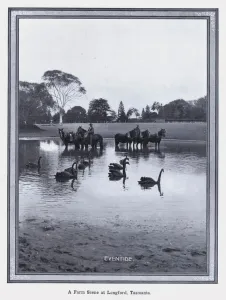 Longford Gallery: A Farm Scene at Longford, Tasmania (b / w photo)