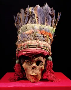 Feathered headdress on a skull, from Peru (feather) Feathered headdress on a skull, from Peru (feather)
