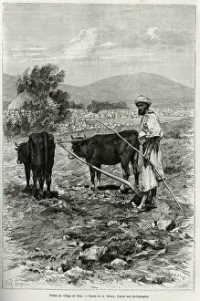Fellah (Middle East agricultural worker) from the village of Nain. Engraving by A