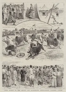 Field Sports of the Argyll and Sutherland Highlanders, Colombo, Ceylon (engraving) Field Sports of the Argyll and Sutherland Highlanders, Colombo, Ceylon (engraving)