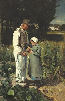In the fields, Anvers sur Oise, 1882 (oil on canvas) In the fields, Anvers sur Oise, 1882 (oil on canvas)