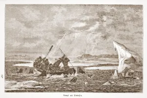 Fight with Walrus, 1876 (engraving) Fight with Walrus, 1876 (engraving)