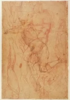Muscular Gallery: Figure Study (red chalk on paper)