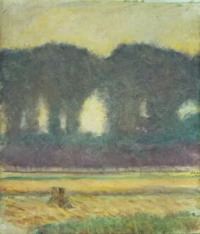 Fir Trees and a Cornfield, 1908 (oil on canvas)