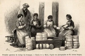 The first operation of the scraping of the cheeses, eight days after the winery The first operation of the scraping of the cheeses, eight days after the winery