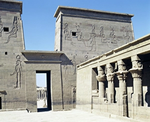Ancient Egypt (Ancient Civilizations, Historic) Collection #23