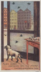 Flies carry contagion into the home; Tanglefoot catches and destroys them (colour litho) Flies carry contagion into the home; Tanglefoot catches and destroys them (colour litho)