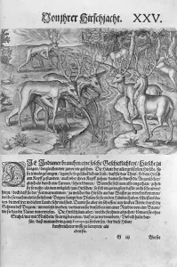 Florida Indians hunting deer while disguised under deerskins, from Americae Florida Indians hunting deer while disguised under deerskins, from Americae