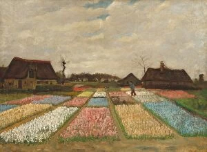 Flower Beds in Holland, c.1883 (oil on canvas on wood)