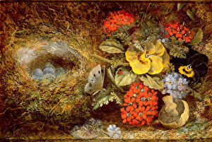 Flowers and Bird's Nest with Butterfly and Mushroom Flowers and Bird's Nest with Butterfly and Mushroom
