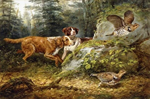 Classicist Gallery: Flushed: Ruffed Grouse Shooting, 1857 (oil on canvas)