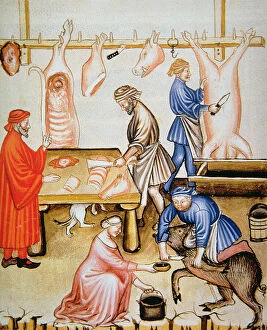 Bacon Gallery: Fol.74v The Butcher s: Pig Meat, illustration from Tacuinum Santiatis Codex Vindobonensis (vellum)