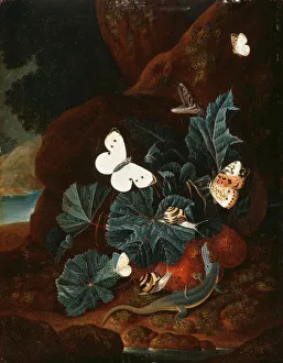 A Forest Floor Still Life with a Lizard, Butterflies, Snail and a Snake (oil on panel) A Forest Floor Still Life with a Lizard, Butterflies, Snail and a Snake (oil on panel)