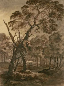 Forest Scene, A Giant Scots Fir and Forest Glade, 1771 (pen & ink and wash on paper) Forest Scene, A Giant Scots Fir and Forest Glade, 1771 (pen & ink and wash on paper)