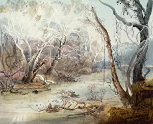 The Fox River near New Harmony, Indiana, 1832 (w/c on paper) The Fox River near New Harmony, Indiana, 1832 (w/c on paper)
