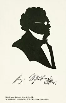 Austrian Collection: Franz Schubert, Austrian composer (litho)