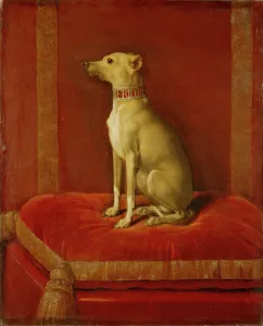 One of Frederick IIs Italian greyhounds (oil on canvas) One of Frederick IIs Italian greyhounds (oil on canvas)
