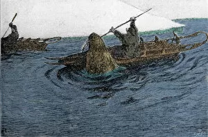 Morse Gallery: Fridtjof Nansen (1861-1930), Norwegian explorer, attacked by a walrus during