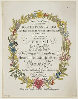 Frontispiece and Title Page, Vol. I, from Icones Plantarum Frontispiece and Title Page, Vol. I, from Icones Plantarum