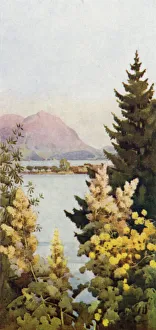 Ella Du Cane Gallery: A Garden (colour litho)