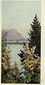 Ella Du Cane Gallery: A Garden, Lago di Como, Illustration from The Italian lakes by Richard Bagot, 1912 (colour litho)