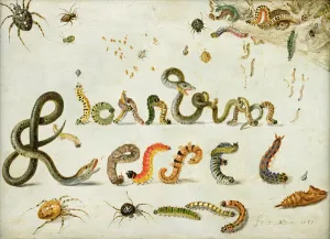 Garden and other spiders, caterpillars spell the artists name, 1657 (oil on copper) Garden and other spiders, caterpillars spell the artists name, 1657 (oil on copper)