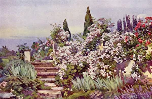 Ella Du Cane Gallery: The Garden Steps (colour litho)