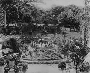 Port of Spain Gallery: Garden of a Suburban Villa, Port of Spain, Trinidad (b / w photo)