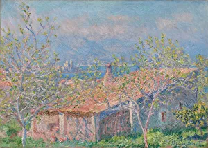 Gardener's House at Antibes, 1888 (oil on canvas) Gardener's House at Antibes, 1888 (oil on canvas)