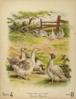 Basis Gallery: Eight Geese (chromolitho)