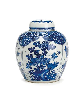Ginger jar and cover, Kangxi Period, 1661-1722 (porcelain) Ginger jar and cover, Kangxi Period, 1661-1722 (porcelain)