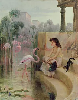 A Girl with Flamingos