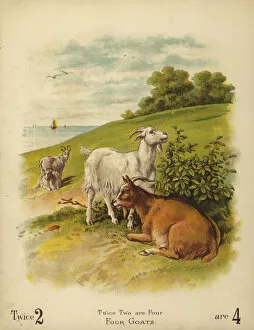 Basis Gallery: Four Goats (chromolitho)