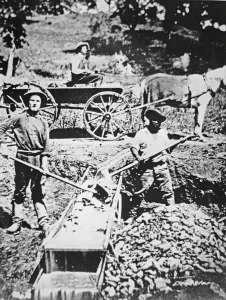 Gold prospectors using a long tom sluice at Spanish Flat, California Gold prospectors using a long tom sluice at Spanish Flat, California