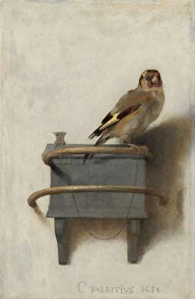 Fine Art Gallery: The Goldfinch, 1654 (oil on panel)