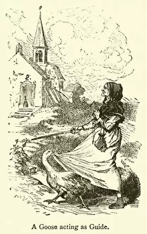 Processes Gallery: A Goose acting as Guide (engraving)