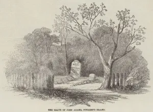 The Grave of John Adams, Pitcairn's Island (engraving) The Grave of John Adams, Pitcairn's Island (engraving)