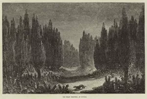 The Great Cemetery, at Scutari (engraving)