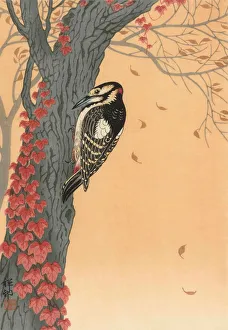 Great Spotted Woodpecker in Tree with Red Ivy, 20th century (japanese print) Great Spotted Woodpecker in Tree with Red Ivy, 20th century (japanese print)