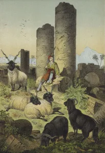 Greek shepherd with Wallachian sheep and Syriax-Goats (colour litho) Greek shepherd with Wallachian sheep and Syriax-Goats (colour litho)