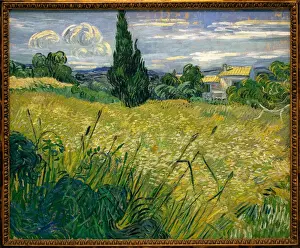 But Green - Painting by Vincent Van Gogh (1853-1890), Oil On Canvas, 1889 - French Art But Green - Painting by Vincent Van Gogh (1853-1890), Oil On Canvas, 1889 - French Art