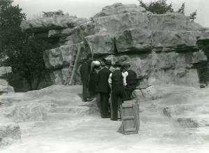 A group of keepers unpacking Sacred Baboons among the rocks of Monkey Hill A group of keepers unpacking Sacred Baboons among the rocks of Monkey Hill