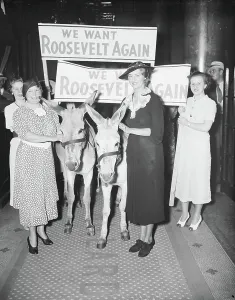 Donkeys Gallery: Group of Women Holding Signs 'We Want Roosevelt Again' while Walking with Donkeys, 1936 (b/w photo)
