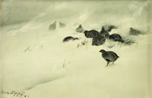 Images Dated 10th November 2011: Grouse in a Snow Storm, 1890 (oil on canvas laid on board)