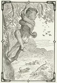 Hunters Gallery: Guilleri climbs up a tree to see his dogs run (verse 2), 1880 (engraving)